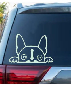Boston Terrier Peeking Window Decal Sticker