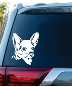 Chihuahua Apple Head Window Decal Sticker