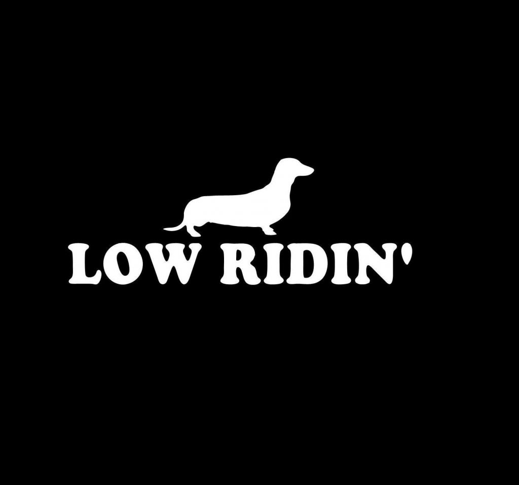 Dachshund Low ridin Window Decals - https://customstickershop.us/product-category/animal-stickers/