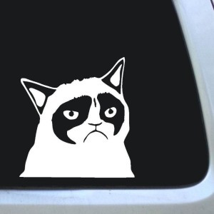 Grumpy Cat Vinyl Decal Stickers - Custom Sticker Shop