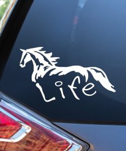 Horse Husband Crazy Decal color choice cup sticker car/truck window 