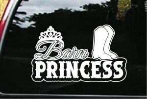 Barn Princess Window Decals - https://customstickershop.us/product-category/western-decals/