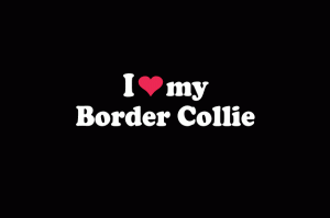 Love My Border Collie Animal Decal - https://customstickershop.us/product-category/animal-stickers/