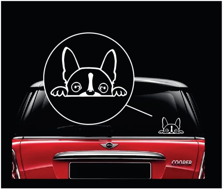 boston terrier peeking vinyl window decal stickerboston terrier peeking vinyl window decal sticker