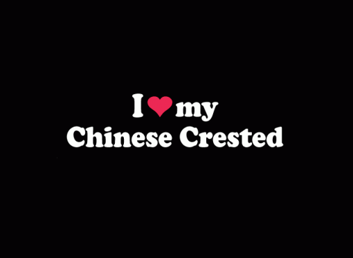 Love my Chinese Crested Decal - https://customstickershop.us/product-category/animal-stickers/