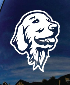 Golden Retriever Head Window Decal Sticker