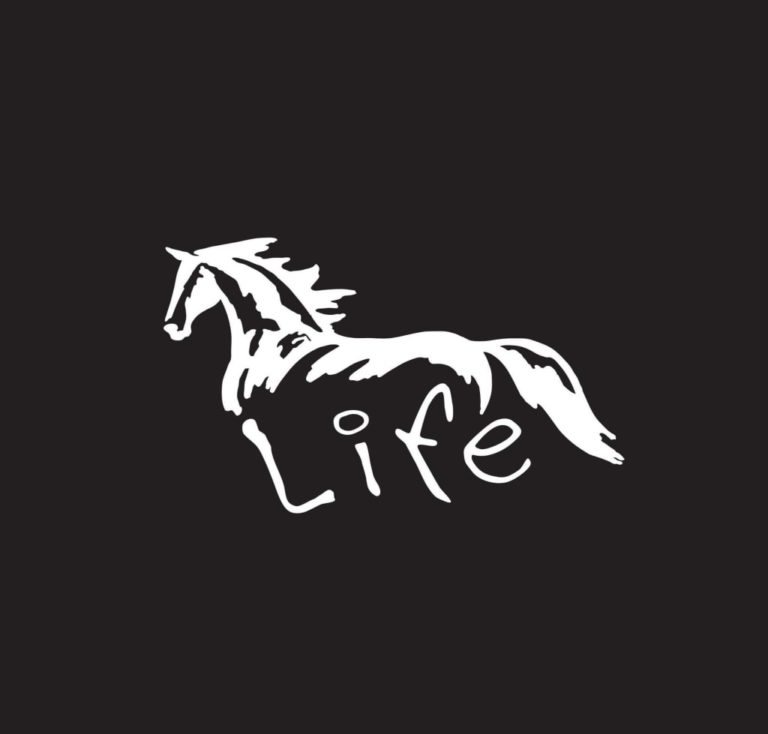 Horse Life Horse Vinyl Decal Stickers Custom Sticker Shop