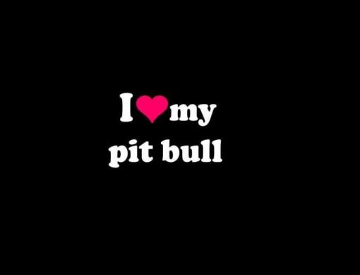 Love My Pit Bull Pet Decal Sticker - https://customstickershop.us/product-category/animal-stickers/