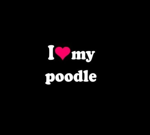Love My Poodle Pet Decal Sticker - https://customstickershop.us/product-category/animal-stickers/