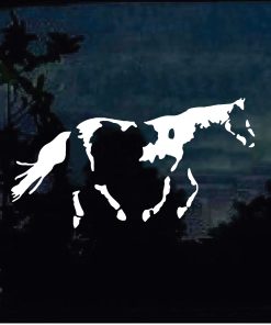 Paint Horse Window Decal Sticker