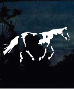 Paint Horse Window decal Sticker