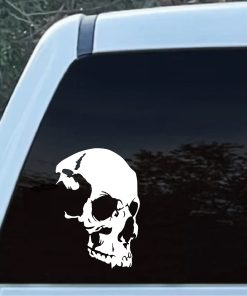 Shadow Skull Vinyl Window Decal Sticker