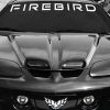 Pontiac Firebird Windshield Decal - https://customstickershop.us/product-category/windshield-decals/