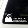 Grumpy Cat Doesn't Life you family