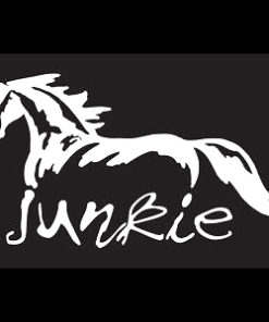Horses Junkie Window decal Sticker