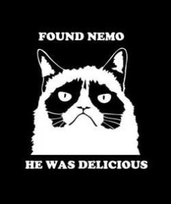 I found Nemo Grumpy Cat Decal