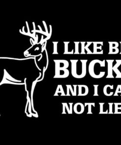 I Like Big Bucks Deer Hunting Sticker