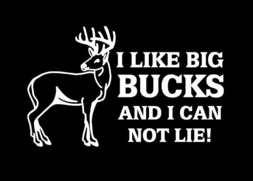 I Like Big Bucks Deer Hunting Sticker
