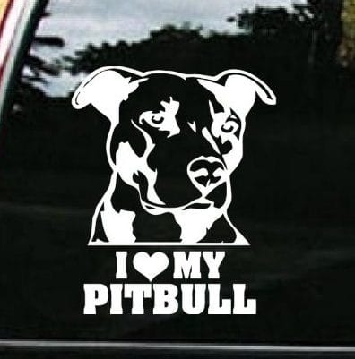 Pitbull uncropped Infinity *I417* 8.5 inch White Sticker pit bull american bully 