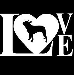 Love Boston Terrier Decal Sticker