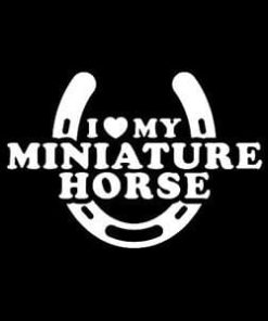 Love My Miniature Horse Decal