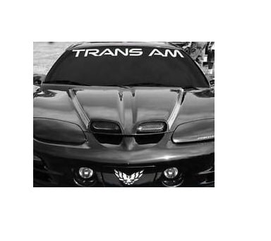 pontiac trans am windshield decal sticker