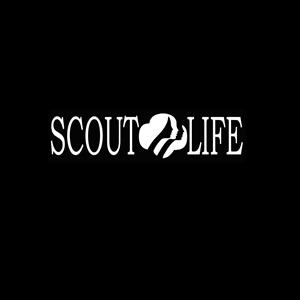 Scout Life Girl Scouts Window Decals