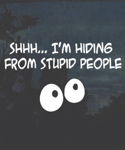 Hiding from Stupid People Window Decal Sticker