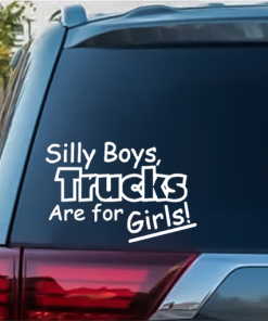 Silly Boys are For Girls Decal Sticker