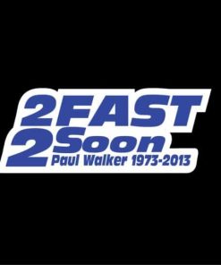 RIP Paul Walker 2 fast 2 Soon 2 color