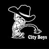 Calvin Piss On City Boy Decals
