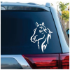 Horse Head Window decal Sticker