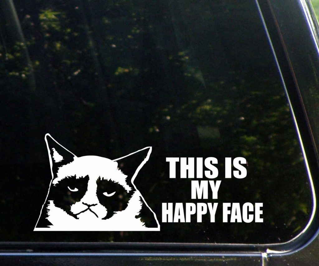 GRUMPY CAT HATES TAILGATERS Funny Vinyl Decal Sticker Car Window laptop 7" 