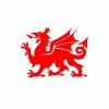 Wales Red Dragon Decal Sticker