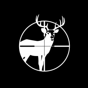 deer in crosshairs deer in crosshairs