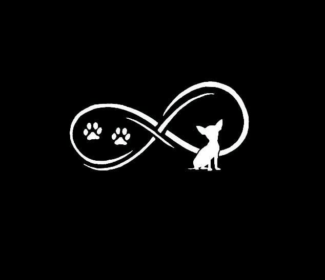 Chihuahua love infinity Decal – Dog Stickers | MADE IN USA