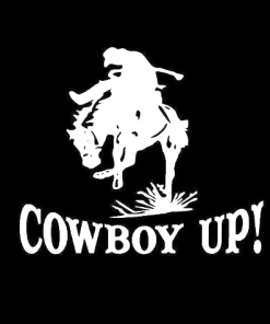 Cowboy Up Rider and Horse Window decal Sticker