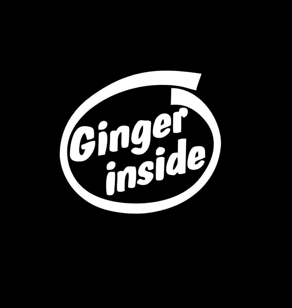 Ginger Inside Funny Decal Sticker