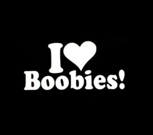 Love Boobies Heart Window Decal Sticker | Custom Made In the USA | Fast ...