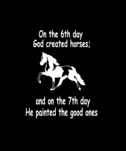 God Made Paint Horse Decal Sticker