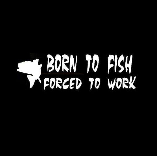 Born to Fish Forced to Work Decal Sticker