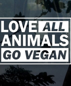 Go Vegan Vegetarian Vegetarian window decal Sticker