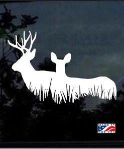 Buck and Doe Deer decal sticker