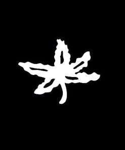 Buckeye leaf Window Decal Sticker