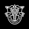 Special Forces Crest Military Decal Stickers