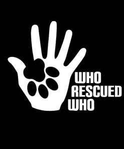 Who Rescued Who Dog Paw Hand Window Decal Sticker