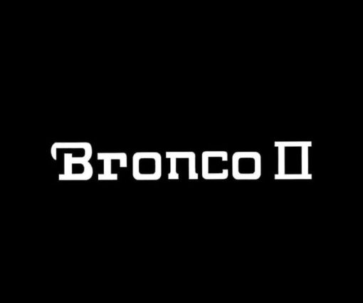 Vinyl Windshield Banner Decal Stickers Fits For Bronco II