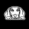 Dachshund Weiner Dog Peeking Vinyl Decal Stickers