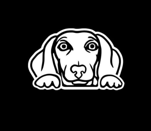 Dachshund Weiner Dog Peeking Vinyl Decal Stickers