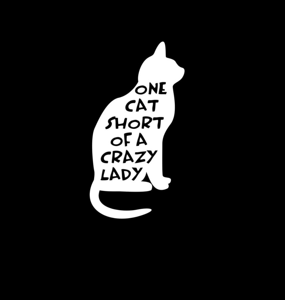 One cat short of a Crazy Lady Vinyl Decal Stickers